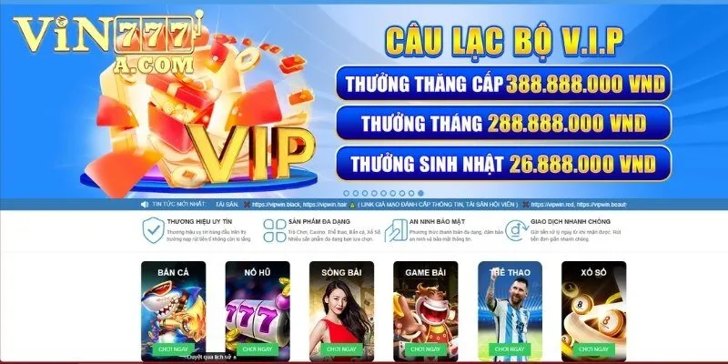 Tổng quan quá trình hình thành & phát triển